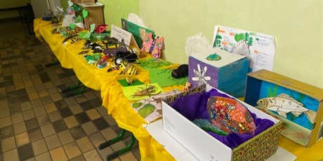 Powiększ grafikę: galeria-prac-uczniow-klas-6-i-8-z-biologii-427208.jpg