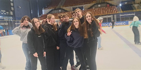 Powiększ grafikę: wyjscie-na-lodowisko-676903.jpg