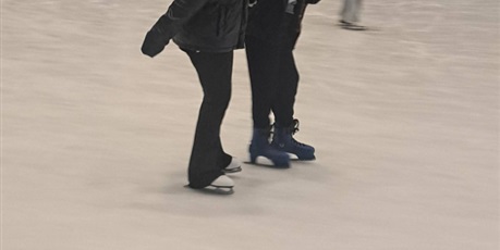 Powiększ grafikę: wyjscie-na-lodowisko-676904.jpg